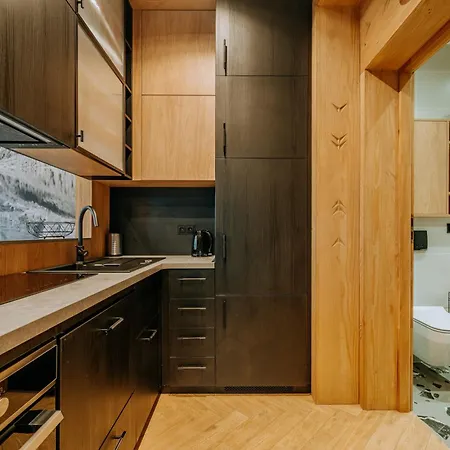 Krupowki 25a Gorski Loft By Homeprime